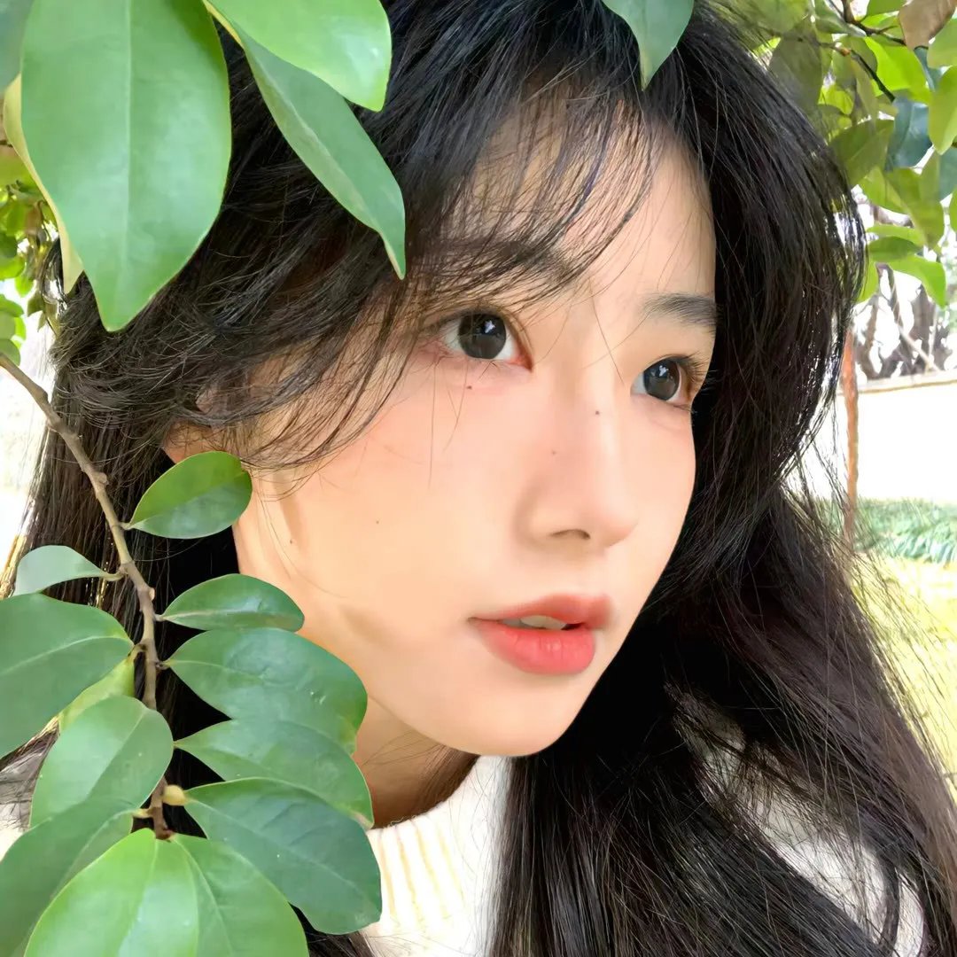 背影